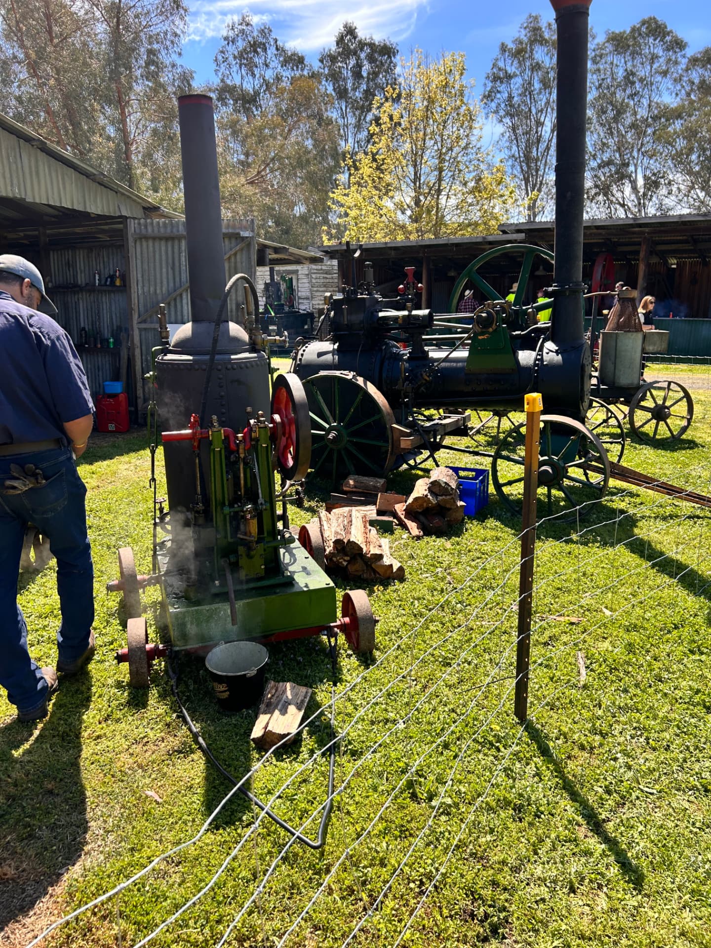 Steam engines under way in the festival grounds